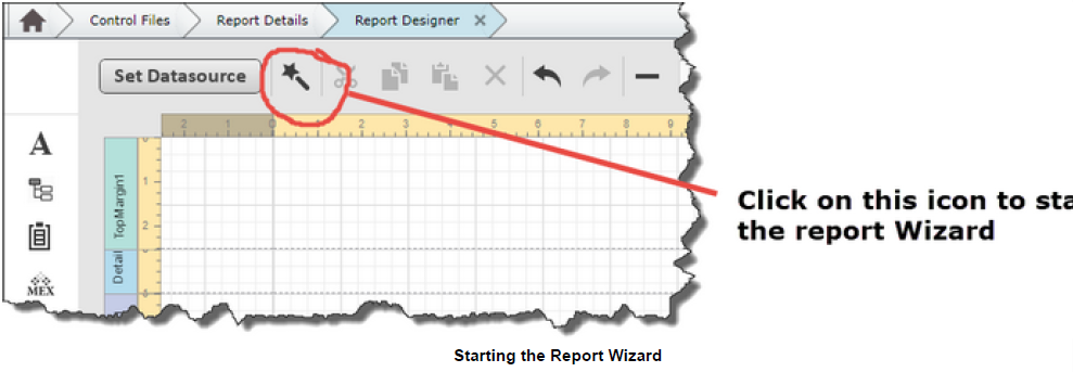 Report_StartReportWizard.png